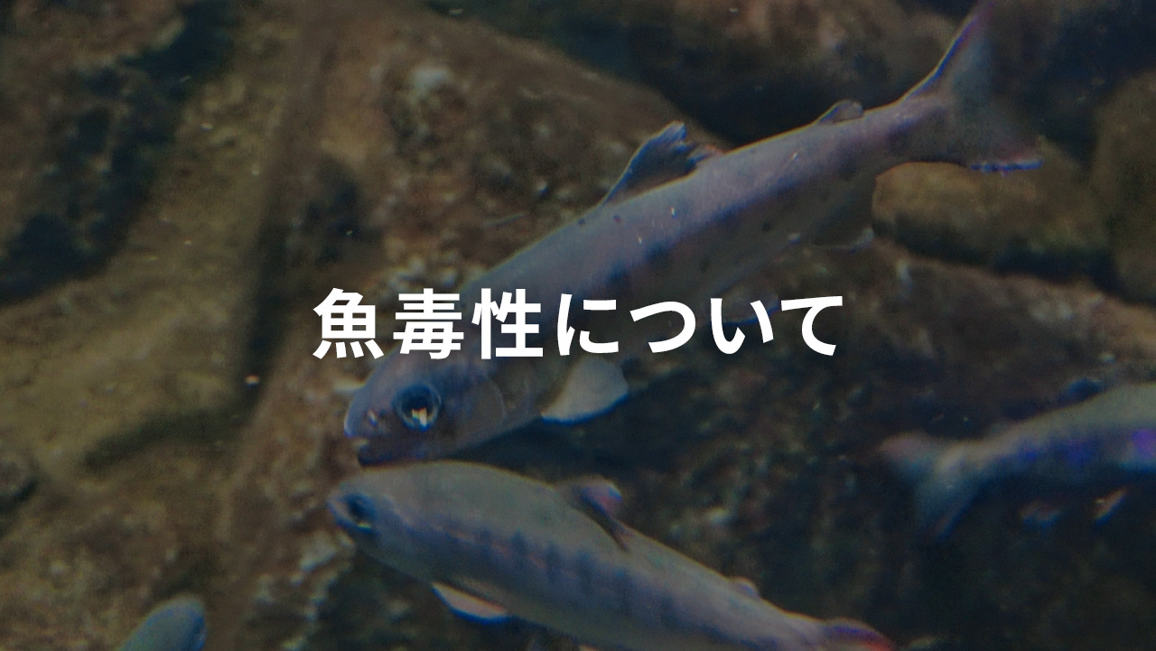 魚毒性について