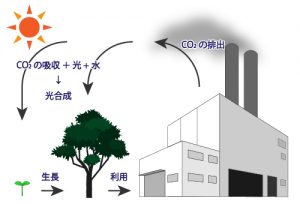 植物を原料にした循環図