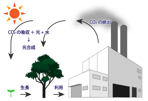 植物油エステルの二酸化炭素のサイクルのイメージ