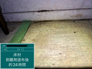 床材　剥離剤塗布後24時間の写真