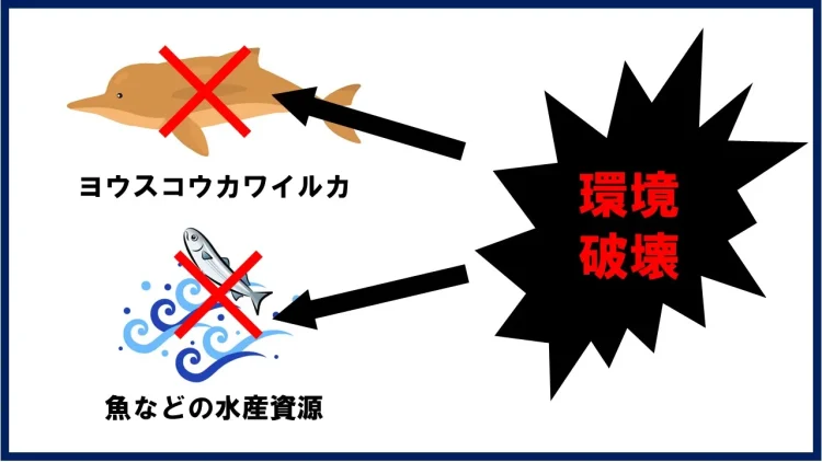 長江の環境破壊の解説図